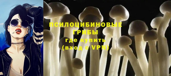 спайс Алексеевка