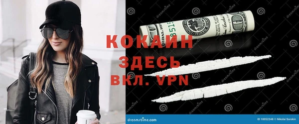 дурь Алексин