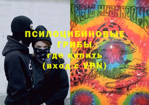 дурь Алексин