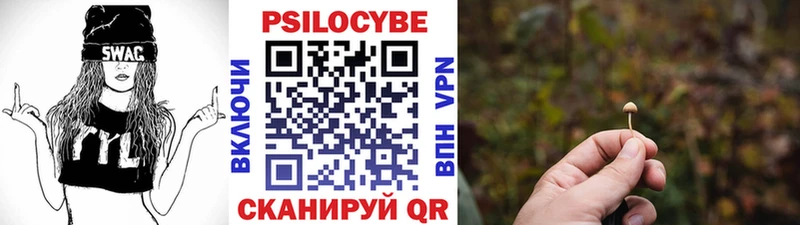Галлюциногенные грибы мицелий  mega маркетплейс  Спасск-Рязанский  магазин  наркотиков 